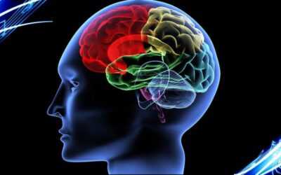 Qué son los Reflejos Posturales