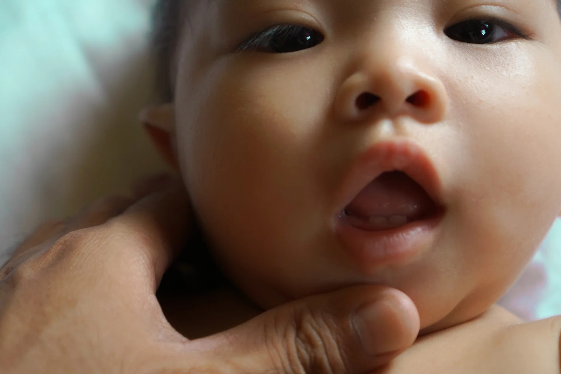 El reflejo de búsqueda se produce cuando se toca ligeramente la mejilla o el labio del bebé, y la cabeza del bebé girará hacia el estímulo.